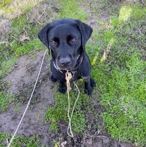 Meet your Posher, Holli